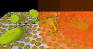 Nanodischi d'oro molto leggeri e porosi in combinazione con la luce 